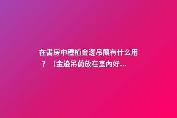在書房中種植金邊吊蘭有什么用？（金邊吊蘭放在室內好嗎）